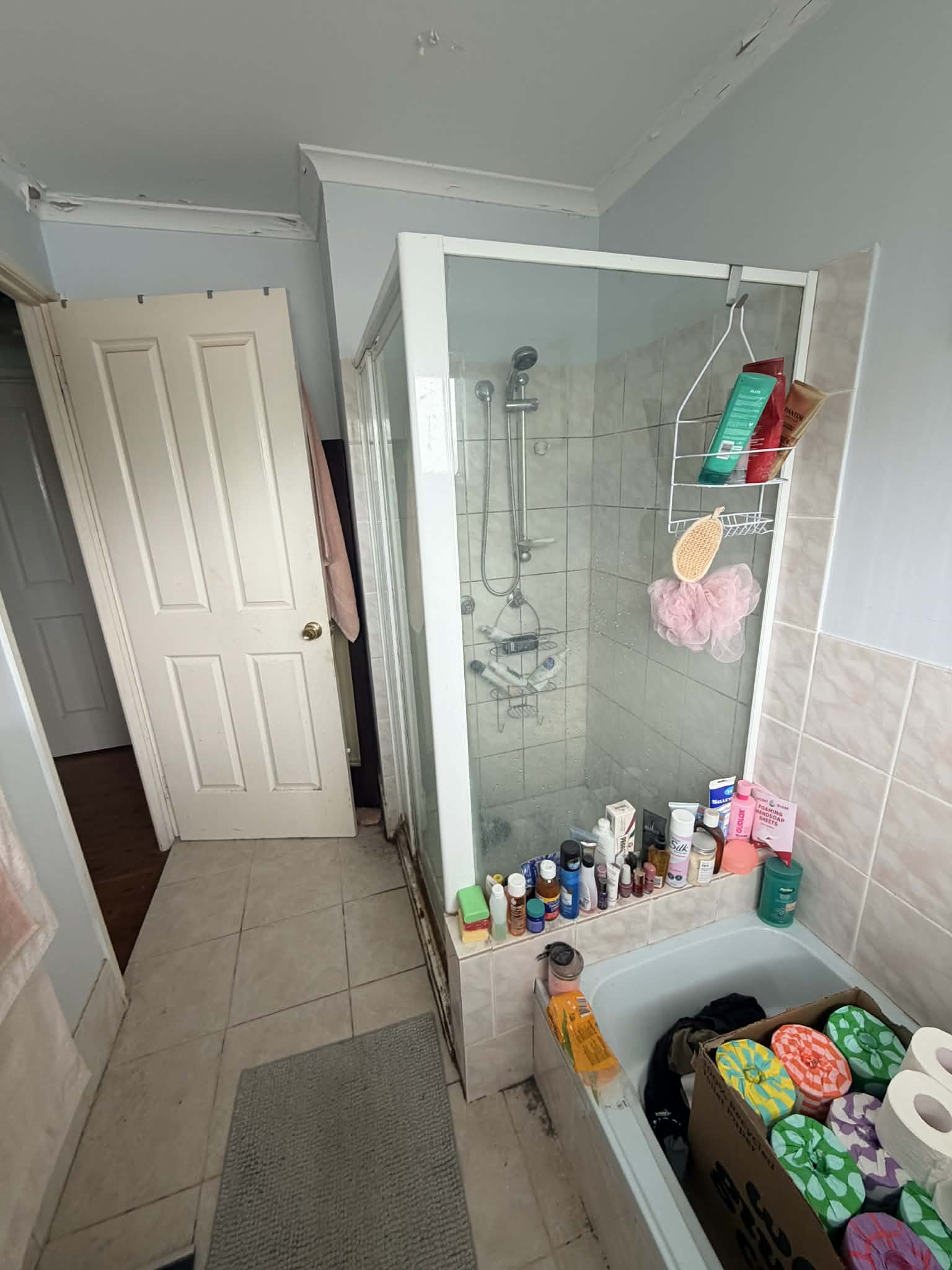Original bathroom before renovation